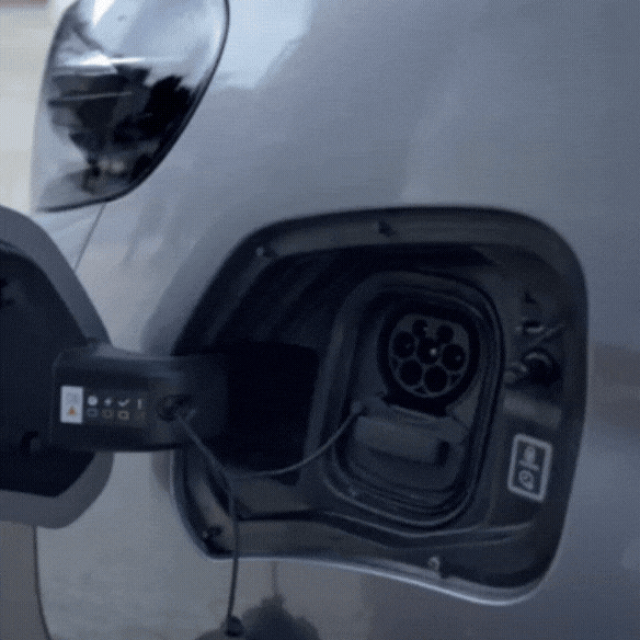 gif-03